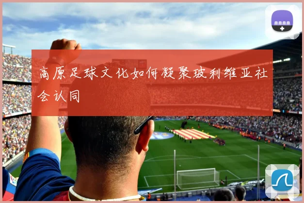高原足球文化如何凝聚玻利维亚社会认同