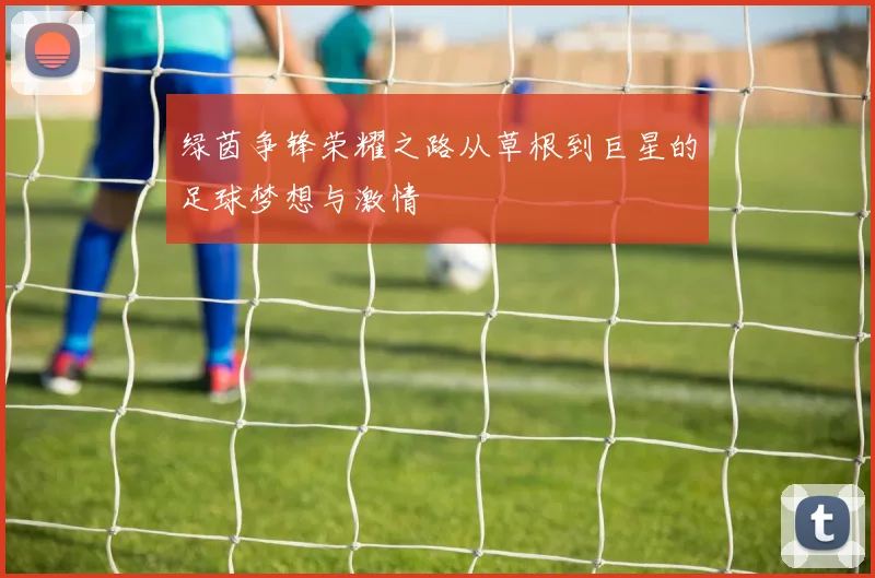 绿茵争锋荣耀之路从草根到巨星的足球梦想与激情