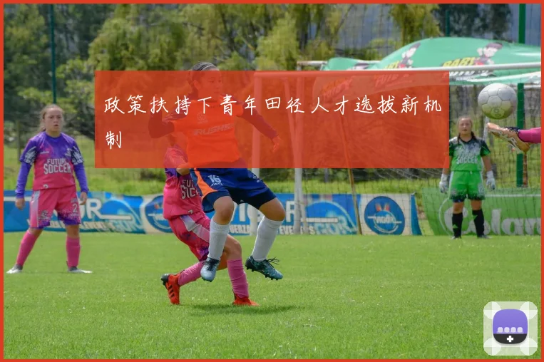 政策扶持下青年田径人才选拔新机制