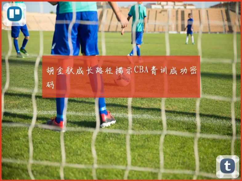 胡金秋成长路径揭示CBA青训成功密码