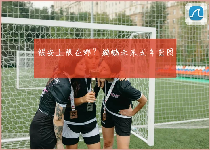 锡安上限在哪？鹈鹕未来五年蓝图
