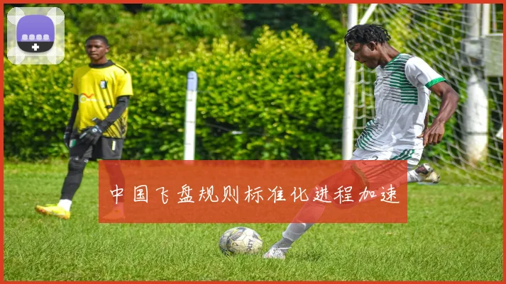 中国飞盘规则标准化进程加速