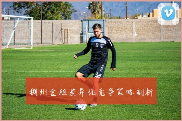 稠州金租差异化竞争策略剖析
