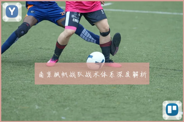 南京枫帆战队战术体系深度解析