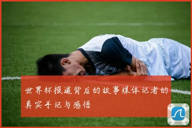 世界杯报道背后的故事媒体记者的真实手记与感悟