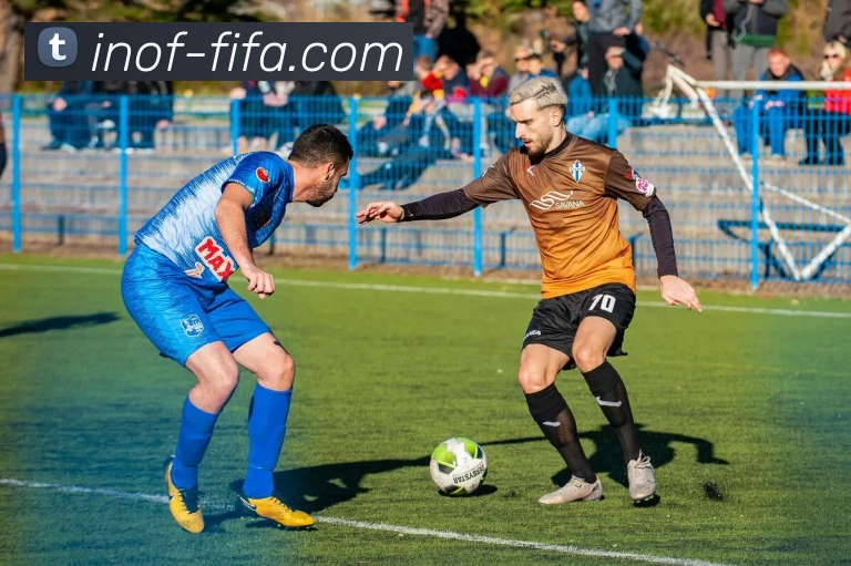 世界杯FIFA服务体系